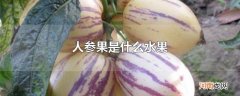 人参果是什么水果