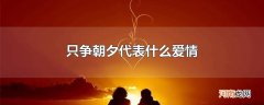 只争朝夕代表什么爱情