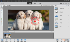 ps在哪里下载 电脑ps在哪里下载
