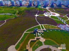 金昌是哪里 金昌是哪里的蹄花虾好吃