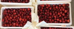 邮寄樱桃怎么保鲜