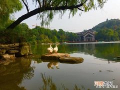 杭州哪里好 杭州哪里好找工作工资高