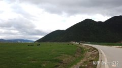 达那在哪里 司藤的达那在哪里