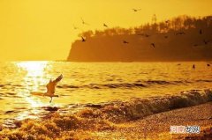 心在哪里 心在哪里下一句是什么