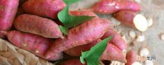 蜜薯发芽了还能不能吃