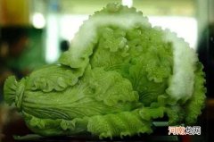 玉石是怎样的 真正的玉石是什么样的