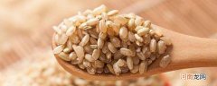 糙米的热量低,还是大米的热量低?
