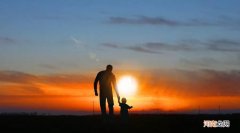 怎样的爷爷 怎样的爷爷在怎样照料那些花草