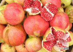 石榴可以放多久