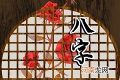 2023年适合添子的八字 兔年会添丁的日柱