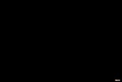 我走 周冬雨为什么走了