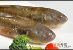 江瀚：沭河风情——依靠乡愁味觉一沙咣鱼
