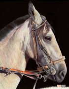 他正在油画中插手圆珠笔划，怪异的创意，让做品重生动了