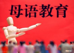 谈谈你对语文的理解 语文是什么