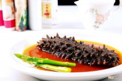 海参一次吃多少比较好 海参煮多久好