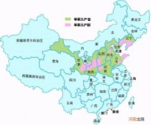 苹果是种在哪里的 平果是哪里