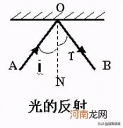 光源是正在发光的物体吗 哪些是光源