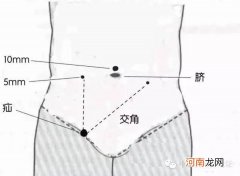 腹是哪里 天下之腹是哪里