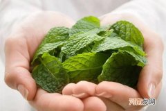 女孩口臭是什么原因引起的 该怎样缓解