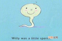 我从哪里来 我从哪里来ppt课件