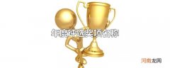 年度评选奖项名称
