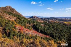 十月去哪里 十月去哪里旅游好