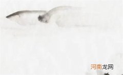 广告公司新颖点的名字 寓意深刻的广告企业名称推荐