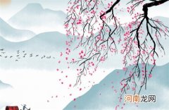 电子商务有限公司名字大全引人注目的电商企业取名