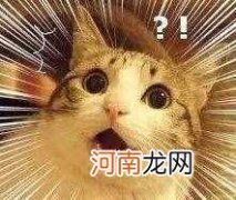 伯母有几种称呼 伯伯的老婆叫什么