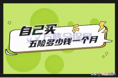 社保个人交好还是公司代缴好 五险一金交多少