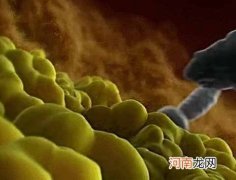 吃什么能生精子 吃什么生精