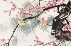 2023年属鸡犯太岁怎么破 佩戴桃木饰物抑制太岁煞气