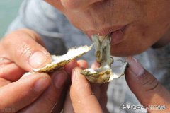十大补锌食物蔬菜 什么水果补锌