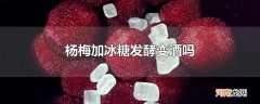 杨梅加冰糖发酵变酒吗
