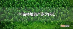 10亩林地能产多少碳汇