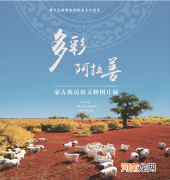《多彩阿拉善——蒙古族风俗文物图片展》及线上展推出
