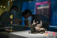 150余件套植物文物正在海南省博物馆展出