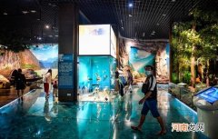 存眷国际博物馆日｜正在重庆，立异让“博物馆的气力”充实开释