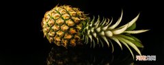 怎么区分菠萝和凤梨 菠萝和凤梨的区别