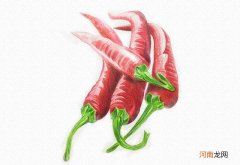 辣椒彩铅画教程图解