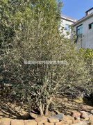 福建哪里 福建哪里的海边最好玩