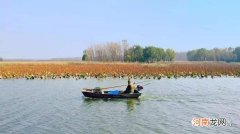 微山是哪里 微山是哪里的城市