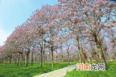 兰考在哪里 兰考在哪里?