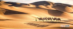 骆驼的由来 骆驼是由什么进化而来的