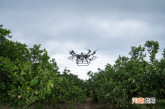 大疆在哪里 大疆是哪个地方的