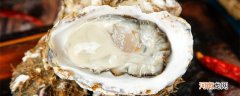 生蚝如何储存保鲜 吃不完生蚝如何储存保鲜