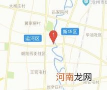 沧州哪里的 小康康是沧州哪里的