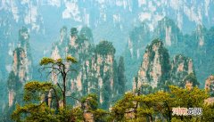 张家界在哪个城市哪个省份