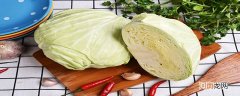 包菜是属于什么菜