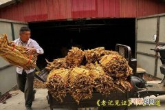 烟丝哪里有卖 云南烟丝哪里有卖